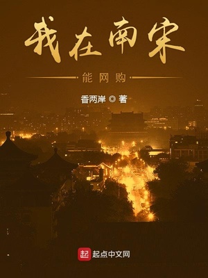 我在南宋能网购 小说