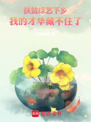 扶贫综艺下乡,我的才华藏不住了小说