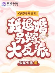 攻略错人