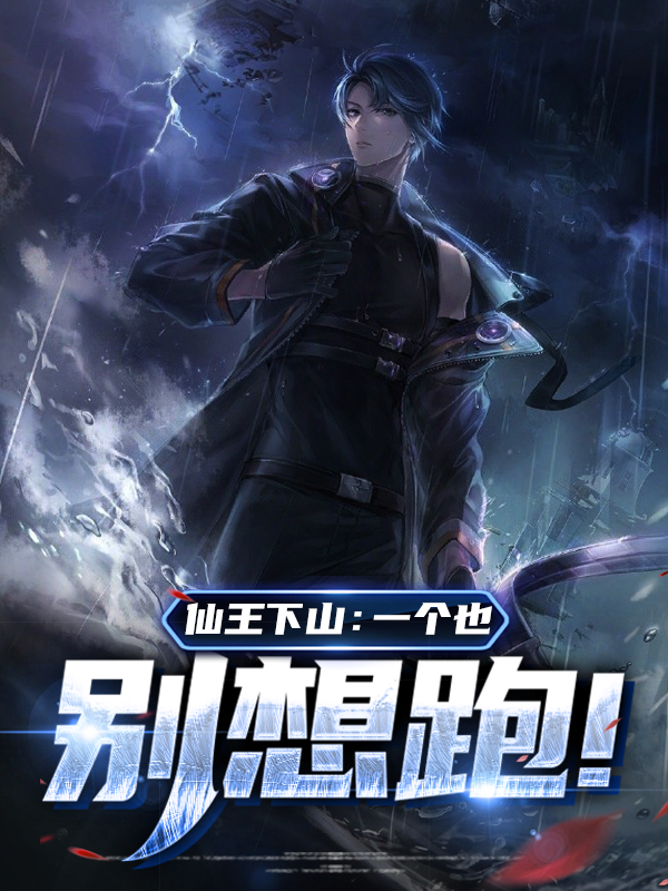 仙王下凡的小说