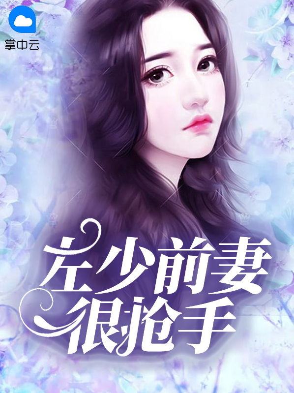 左少前妻很抢手免费阅读