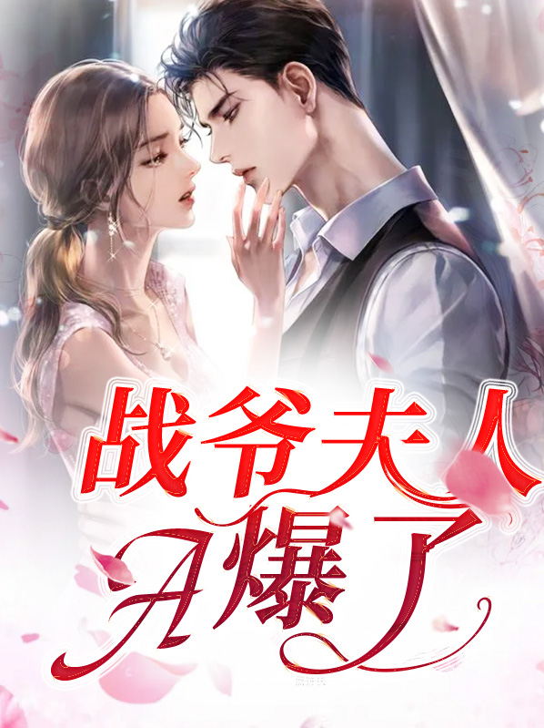 战爷,夫人的身份