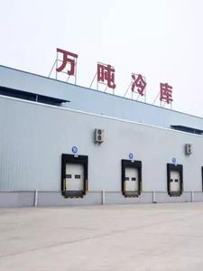 四合院:开局迎娶于莉笔趣阁