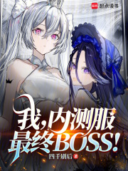 我内测服最终boss小说