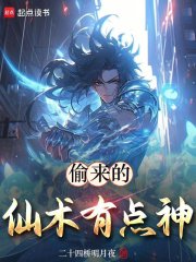 偷来的仙术有点神小说正版