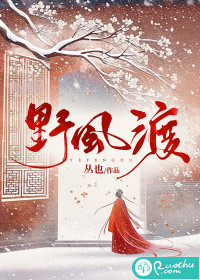 野风渡小说