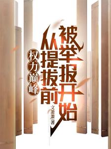 权力巅峰后续小说书名