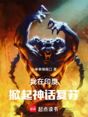 我在印度的那些事全文免费阅读