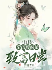 红楼荣国府姨娘致富日常26