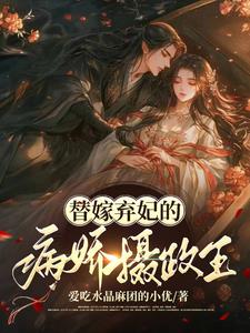 替嫁弃妃穿越小说