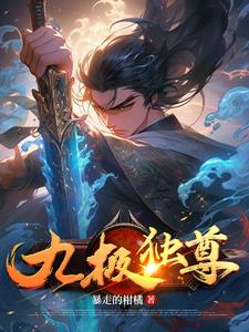 九极帝尊小说