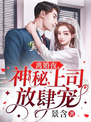 离婚夜神秘总裁放肆宠