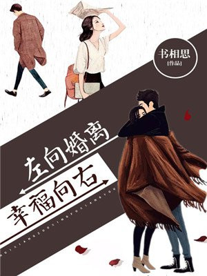 离婚向左再婚向右简介