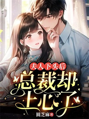 总裁,夫人已经