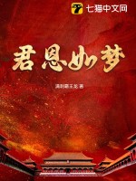 君恩如梦小说