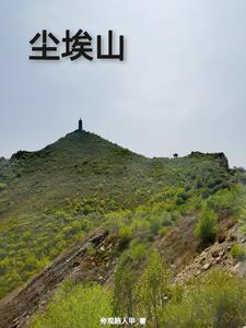 尘埃山小说全文免费阅读正版