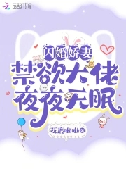 闪婚夫妇9