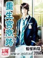 重生官商路小说