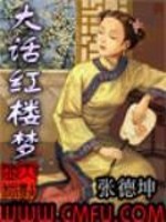 大话红楼梦免费阅读