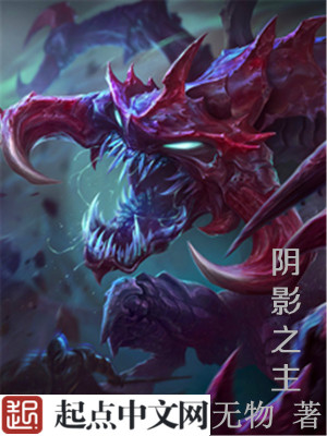 阴影之主巫师小说