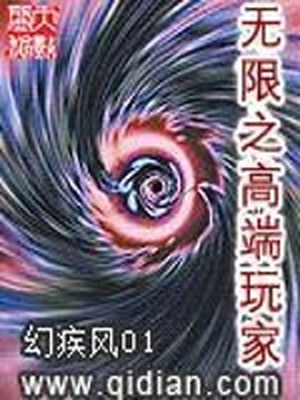 无限高端玩家小说免费阅读