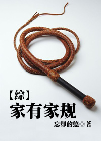 综家有家规txt