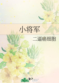 小将军赖上盲妻啦重生免费阅读全文