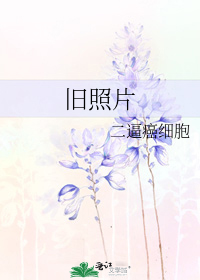 旧照片的回忆感悟