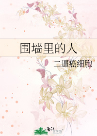 围墙里的人是什么意思