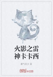 火影之卡卡西飞卢