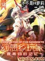 幻想乡玩家txt