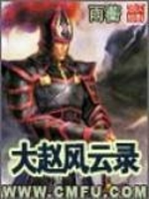 大赵风云录2