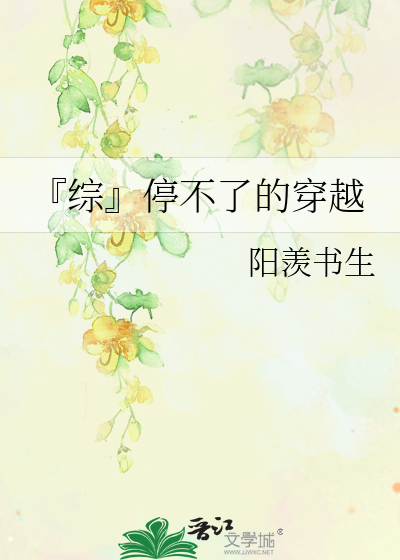 综 停不了的穿越