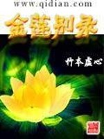 金莲别录小说在线