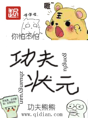 功夫状元的演员表