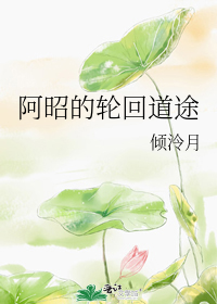 阿昭的轮回道途书包网