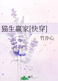 猫生赢家[快穿] 竹亦心下载