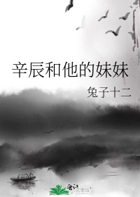 辛辰和他的妹妹全文阅读