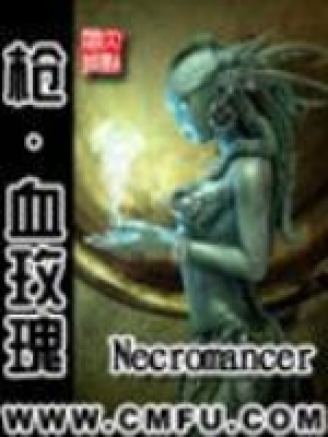 枪血玫瑰 小说
