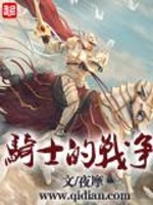 骑士的战争电影免费播放