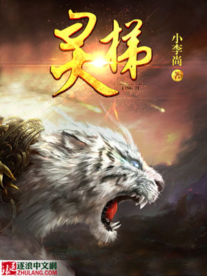 灵梯的意思