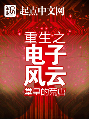 重生之电子风云TXT下载