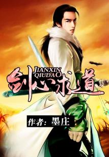 剑心求道小说