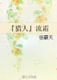猎人流星年华