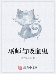 巫师与吸血鬼炫书网