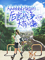 从妹妹开始的后宫战争大有问题小说