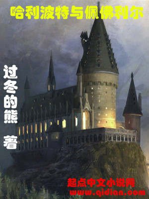 佩蒂尔哈利波特