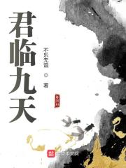 君临九天小说