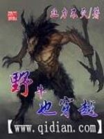 野牛群小说