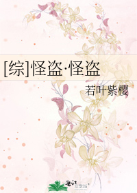 综怪盗怪盗百度云